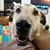 EthanandJenisa Penton's profile image