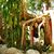 Serrana Lopez's profile image
