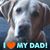 Karl Geary's profile image