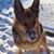 Linda Nutt-Ehmcke's profile image