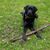 Julie Thill Hilger's profile image