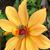 Patty McGuire Gray's profile image