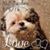 Cindy Maitland's profile image