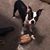 June L Jones's profile image