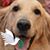 David Gilford's profile image