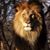 Rose Perea's profile image