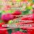 Alma Chavarria's profile image