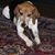 Bernadette Willoughby Chamberlain's profile image