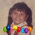 Rose Bowles's profile image