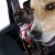 Bonni Schwiderson's profile image