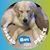 Nora Cline's profile image