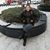 Cecilia Martinez's profile image
