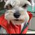 Freed Guess's profile image
