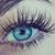 Carol Kass's profile image