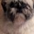 Lee Ann Stubblefield Harrell's profile image