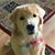 Sheri Wise's profile image
