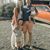 Kristen Jones's profile image
