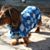 Sue Zirbel Helms's profile image