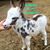 Sonidorivera Mix's profile image