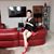 Thoa Pham's profile image