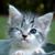 Stacey Cates-Kellogg's profile image