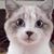IraJo Sherman's profile image
