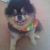 Margie Forbes Brock's profile image