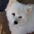 Edie Warwick's profile image