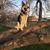 Jennifer J Rowbury Miller's profile image