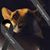 Mindy Newberry's profile image