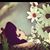 Laurel Wallace's profile image