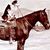 Derek Beauchemin's profile image