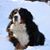 Donna Davids's profile image