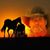Rob Curtis's profile image