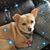 Barbara Hellman Grubbs's profile image