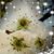 Patricia Hickam Claiborne's profile image