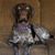 Cindy Neiman's profile image