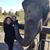 Celia Cushing Michaud's profile image
