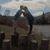 Ryan Closen's profile image