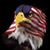 Ken Schroeder's profile image