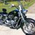 Tracy Polizzi's profile image