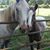 Barney Mincey's profile image