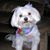 Pamala Murphy's profile image