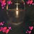 Carolyn Morgan Sizemore's profile image