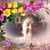 Mary Galindo's profile image
