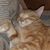 Kenney Hofmann's profile image