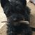 Carol Gray's profile image