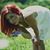 Angela Yacovone's profile image