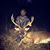 Clay Watts's profile image