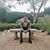 Muhammad Murad's profile image